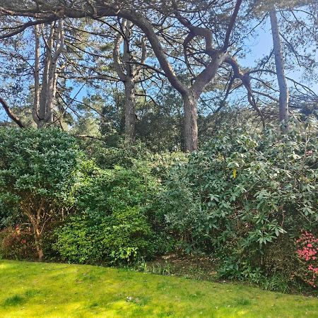 Peaceful Getaway In Forested Park Bournemouth Eksteriør billede