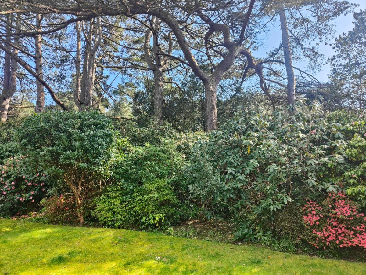 Peaceful Getaway In Forested Park Bournemouth Eksteriør billede